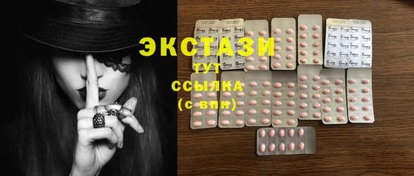 стаф Бородино