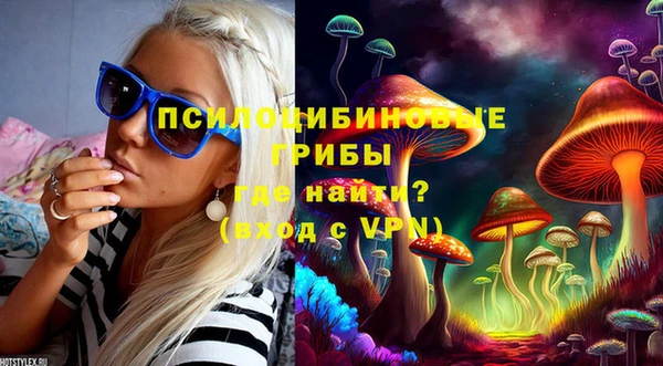 стаф Бородино