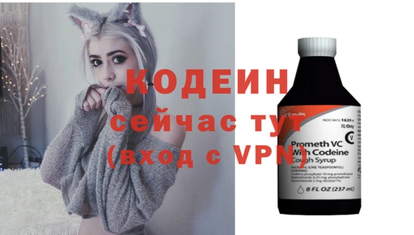 стаф Бородино