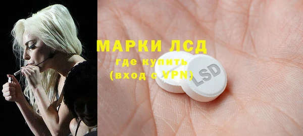стаф Бородино