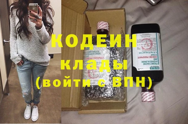 стаф Бородино
