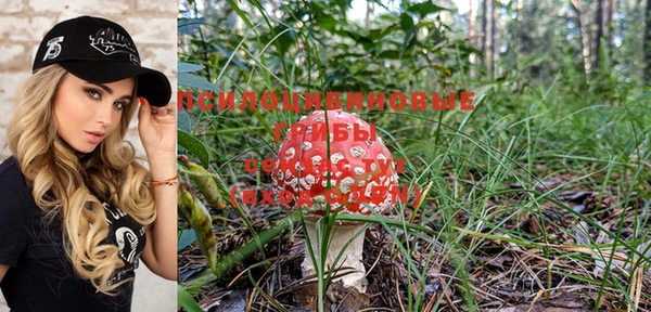 мескалин Бронницы