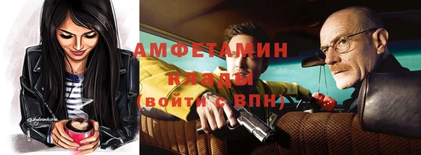 стаф Бородино