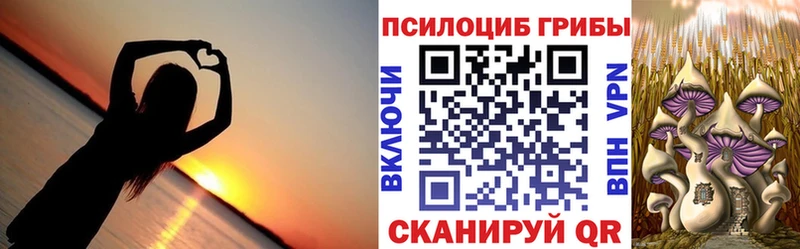 закладка  Ейск  Галлюциногенные грибы MAGIC MUSHROOMS 
